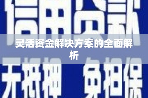 那玛夏灵活资金解决方案的全面解析