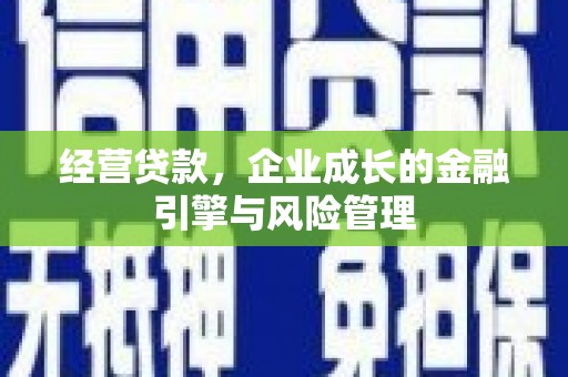 那玛夏经营贷款，企业成长的金融引擎与风险管理