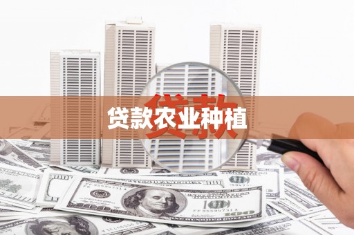 那玛夏贷款农业种植