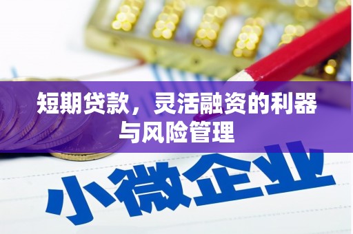 那玛夏短期贷款，灵活融资的利器与风险管理
