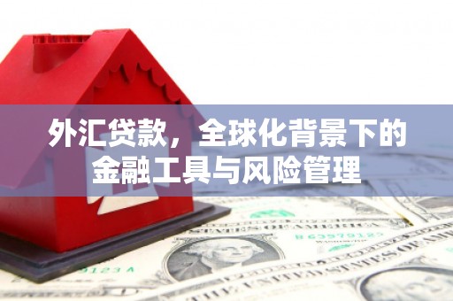那玛夏外汇贷款，全球化背景下的金融工具与风险管理