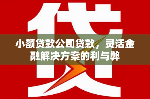 那玛夏小额贷款公司贷款，灵活金融解决方案的利与弊