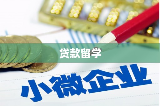 那玛夏贷款留学