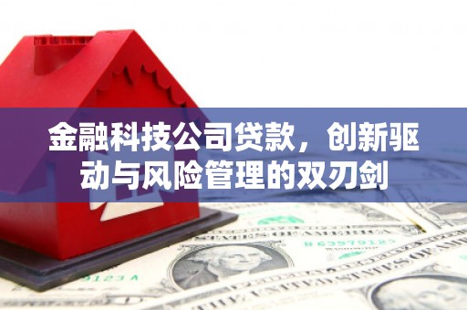 那玛夏金融科技公司贷款，创新驱动与风险管理的双刃剑