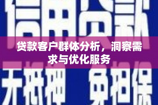 那玛夏贷款客户群体分析，洞察需求与优化服务