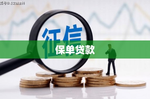 那玛夏保单贷款